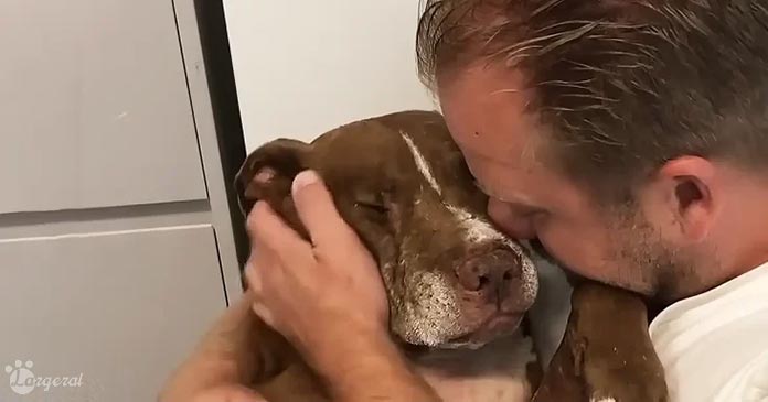 Kind-Hearted Man Hears Out the Tragic Stories of an Old Homeless Dog