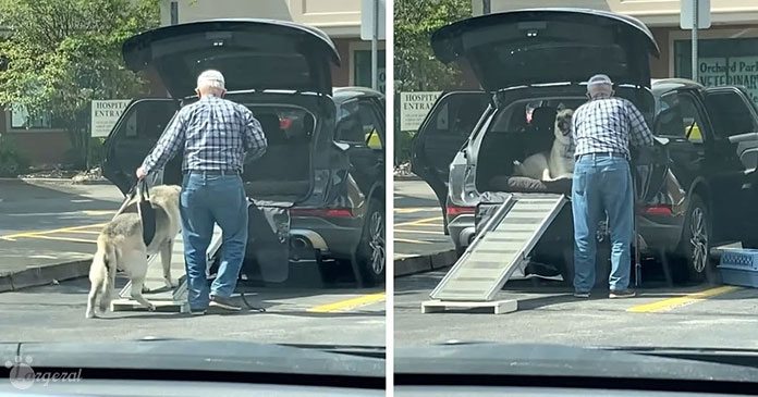 Best Friends Forever: Man Builds a Ramp to Help His Elderly Dog into the Car