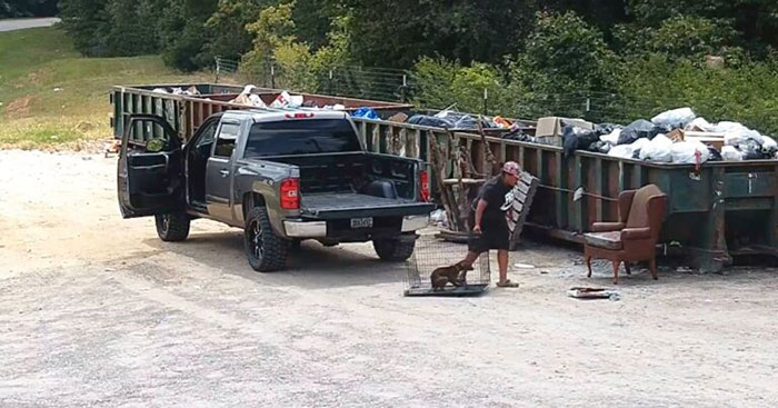 Woman Leaves Her Dog In A Cage Next To The Dumpsters Forever