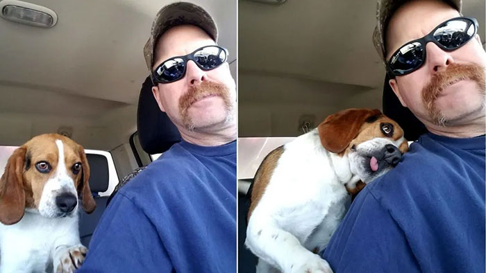 Man Rescues a Beagle from Being Put Down in a Shelter, The Dog Thanks Him with a Hug