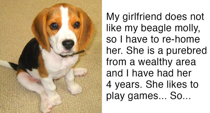 A man’s girlfriend presents him with an ultimatum, either the dog must depart, or she will